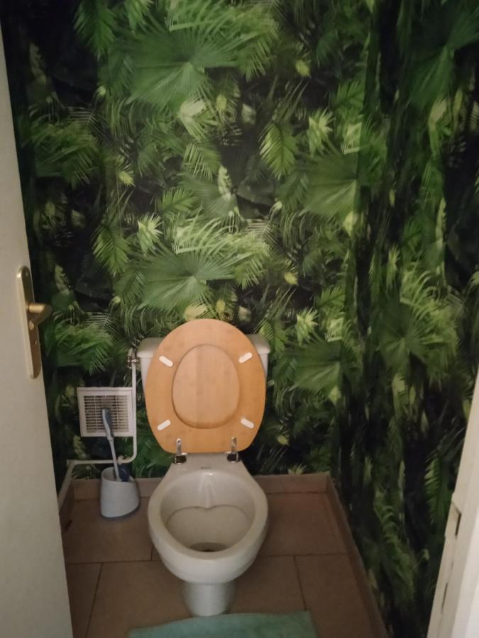 Agreable Maison Entre Zoo Et Chateaux Le Controis-en-Sologne Exteriör bild